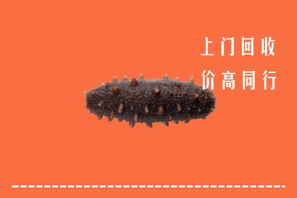 六安金寨县回收海参