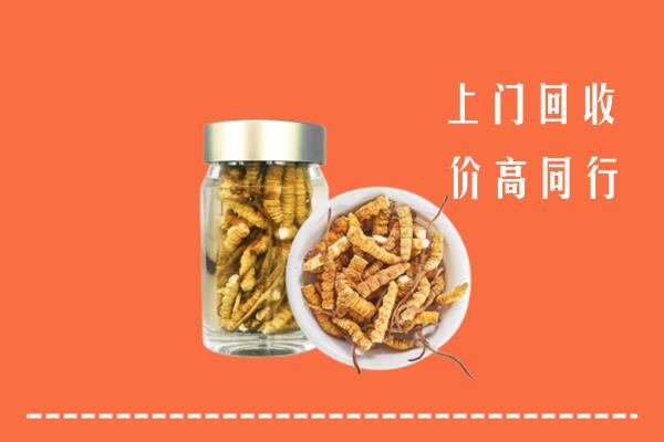 六安金寨县回收冬虫夏草